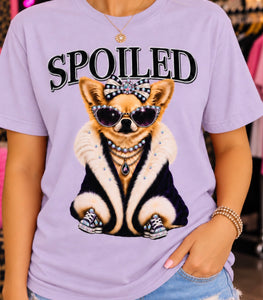 Spoiled Chihuahua women's rhinestone graphic tee on Neon Pink Bella Canvas - Pink Ostrich Boutique