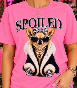 Spoiled Chihuahua women's rhinestone graphic tee on Neon Pink Bella Canvas - Pink Ostrich Boutique